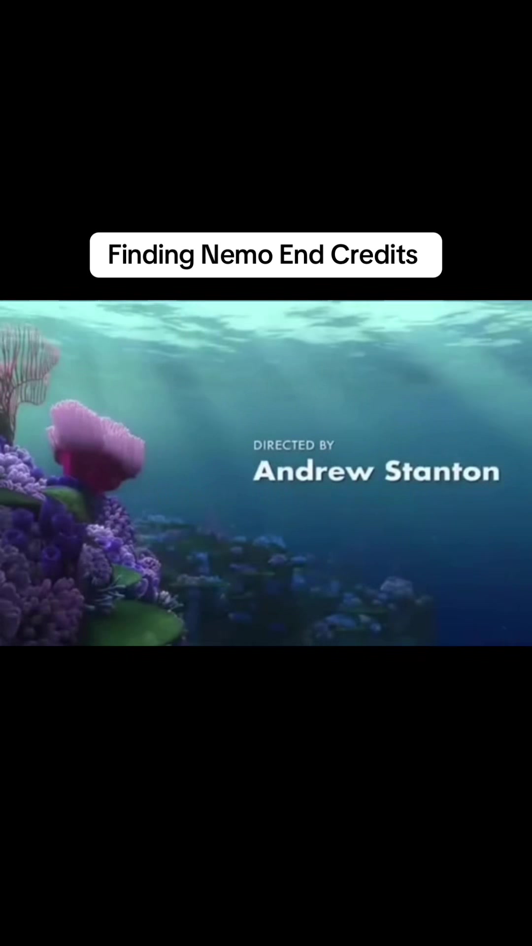 @AnimationGuy50