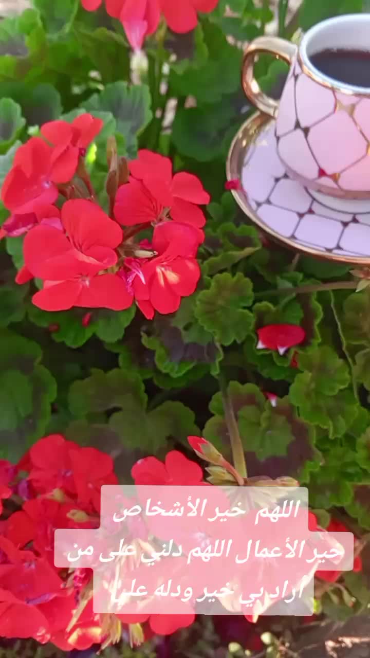 @صحة وثراء وحياة إيجابية DXN