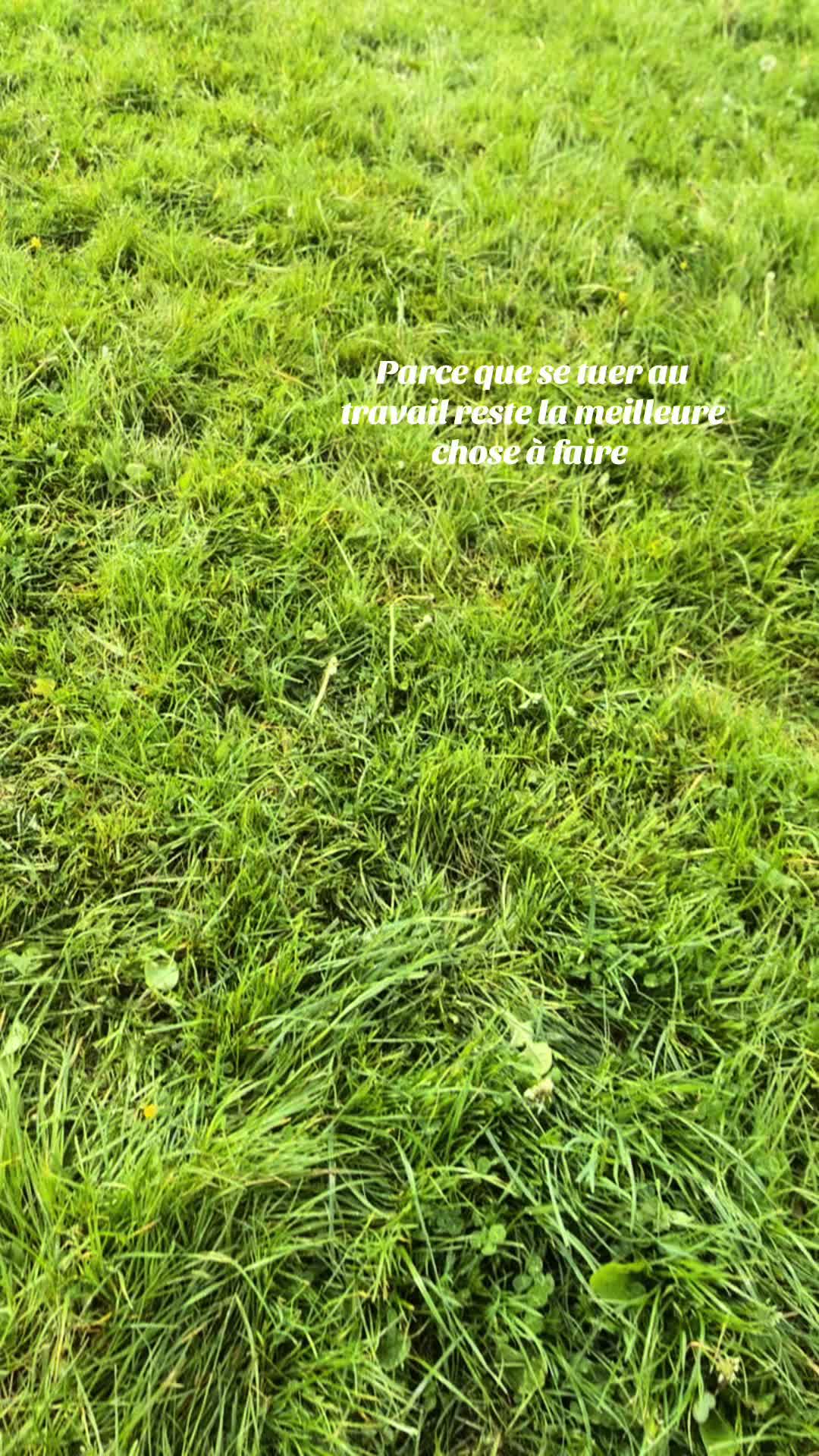 @Océane 🐄🌾
