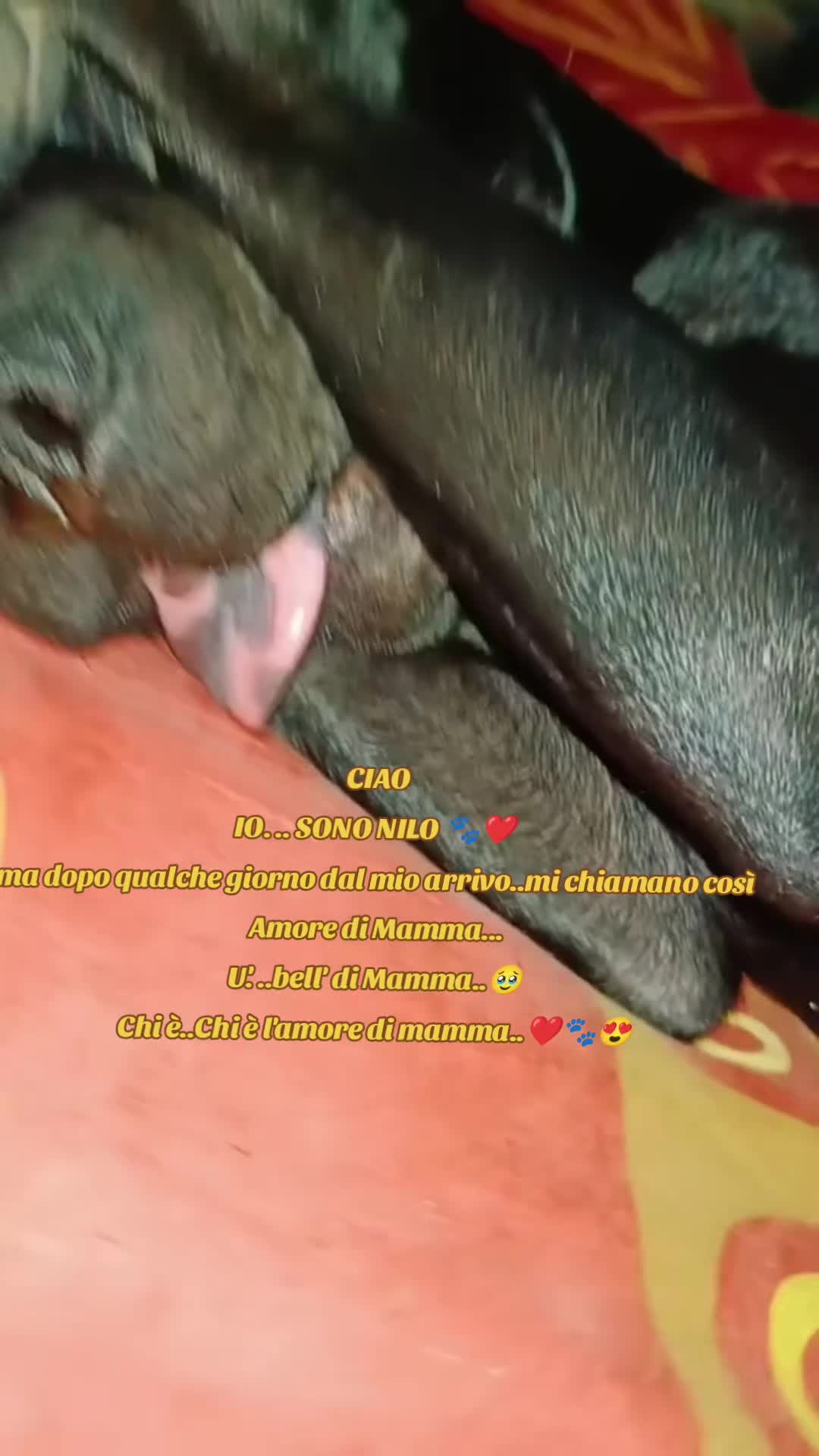 @marysol