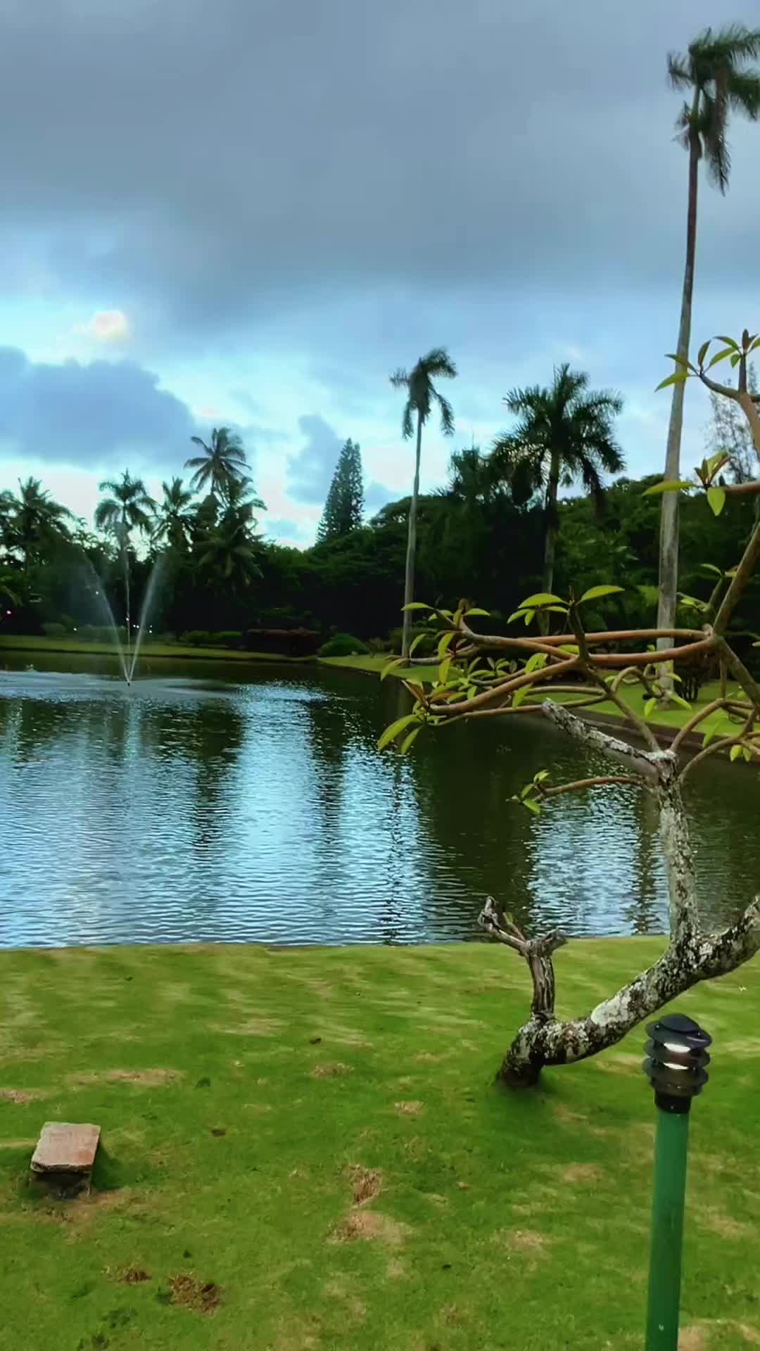 @fatsokauai