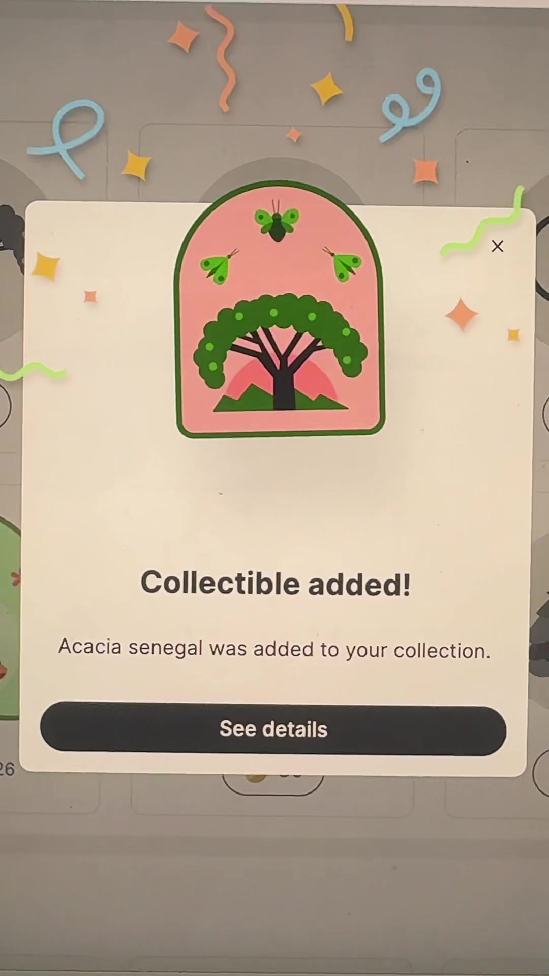 @amaliaplantstrees