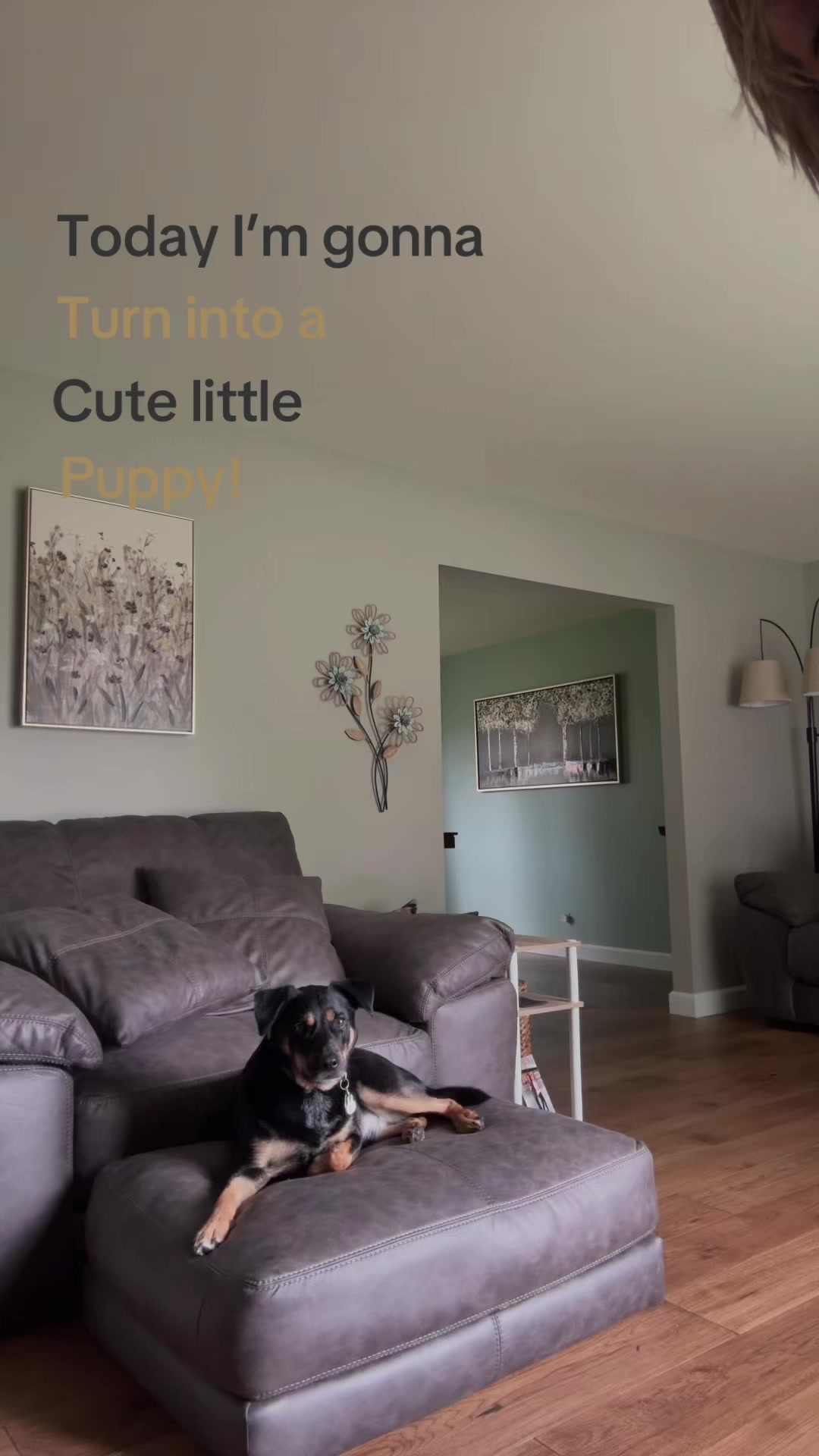 @Finneyfinn