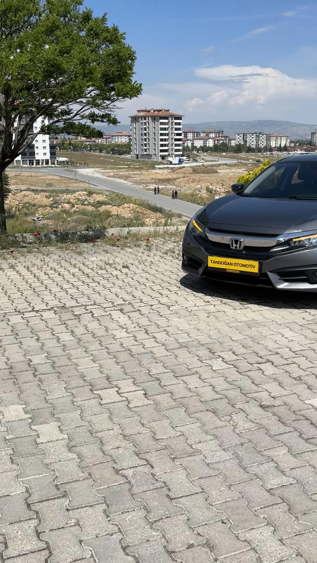 @yasintandogan44