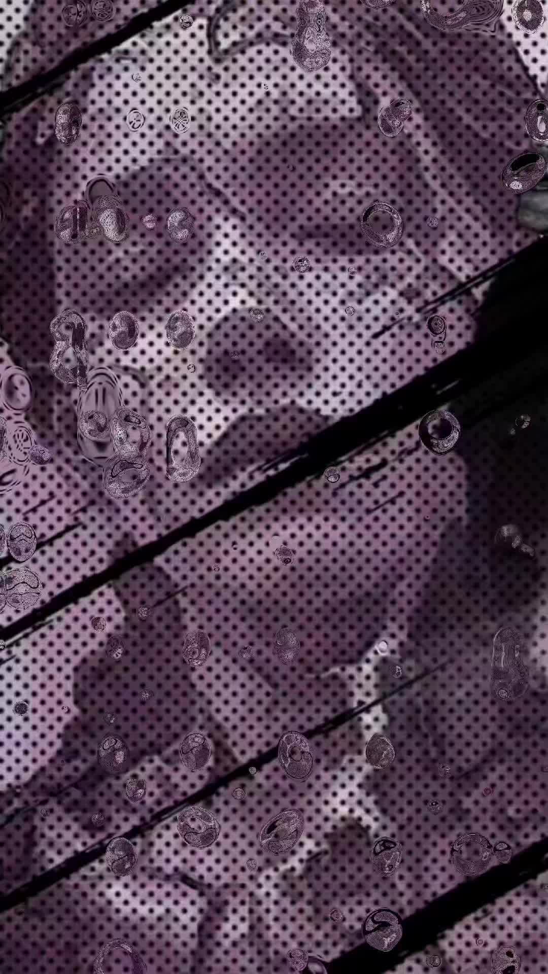@🖤🥀Bₗₐcₖ❌🐹ᵤₙᵢcₒᵣₙ🥀🖤