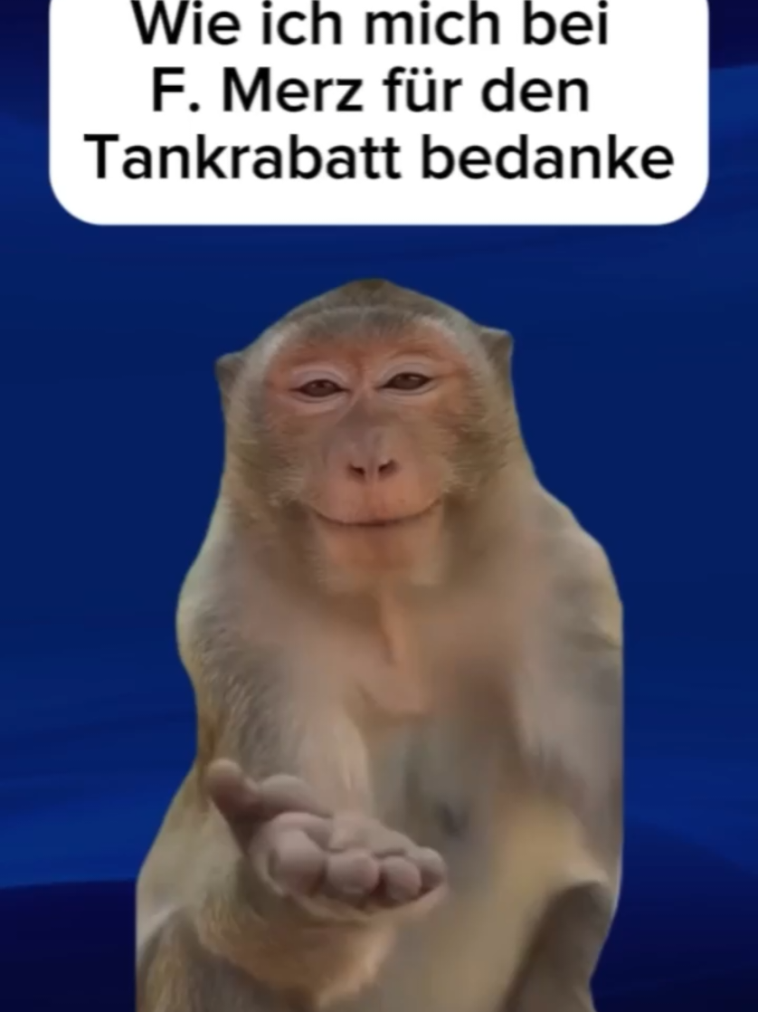 @Mesut 👑