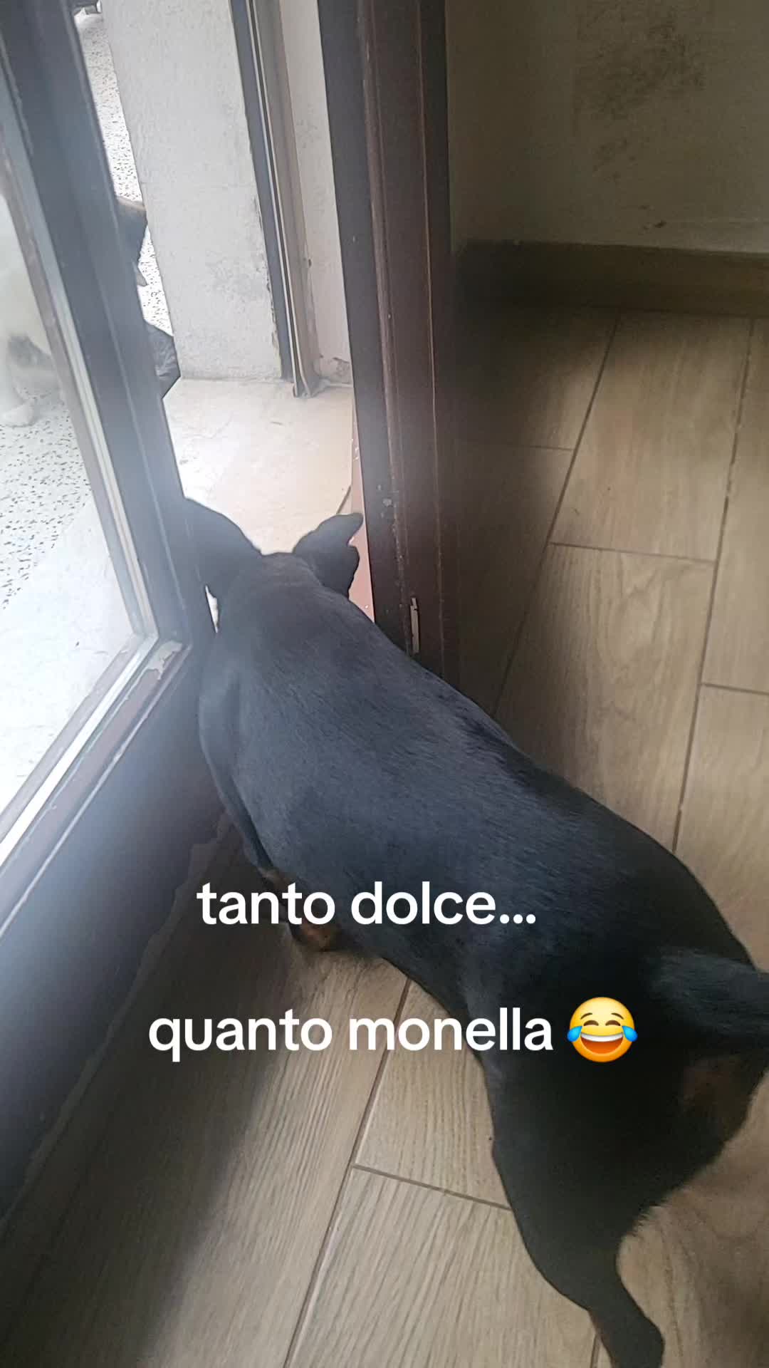 @Valentina Orlando