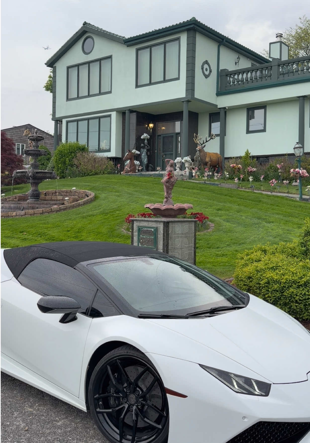 @Champexotics