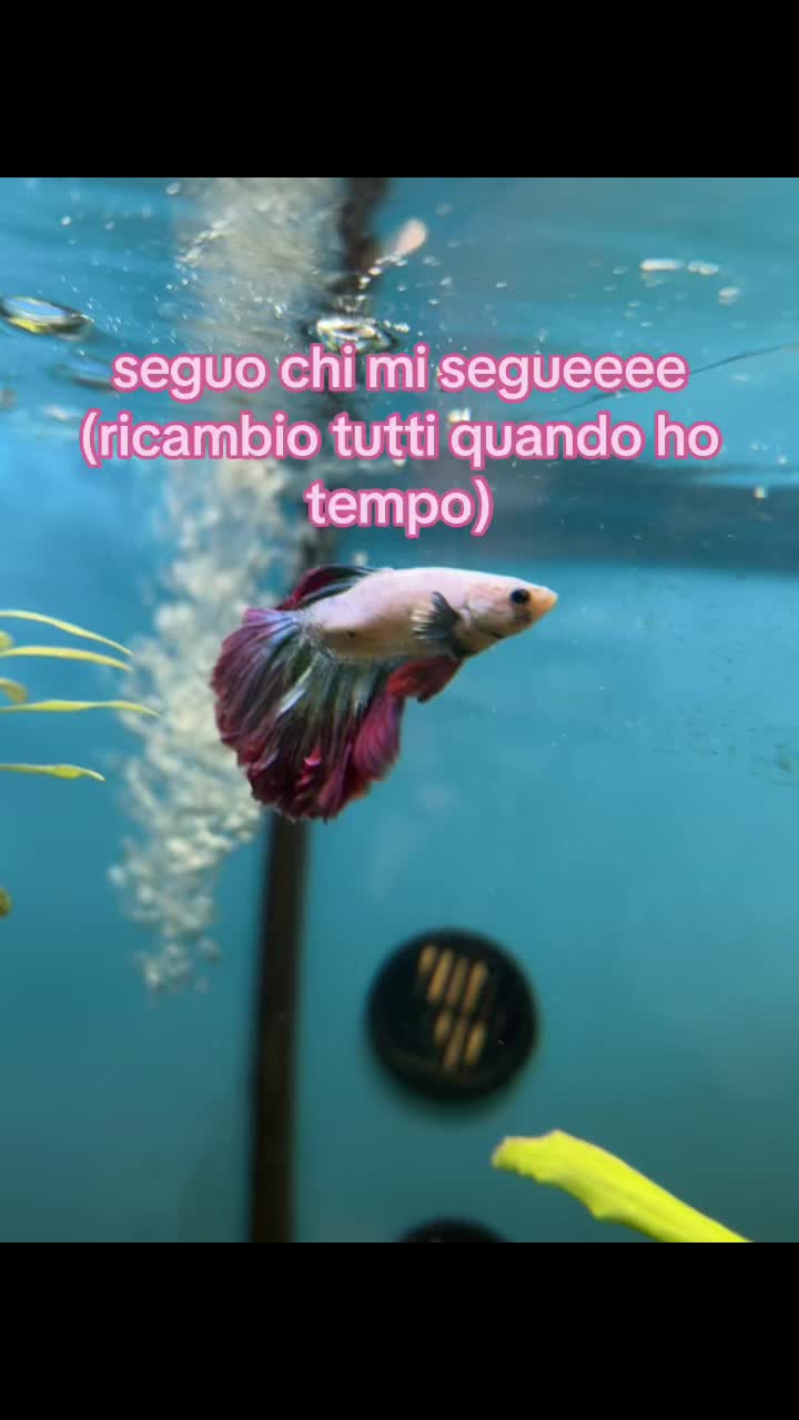 @𝓪𝓷𝓰𝓮