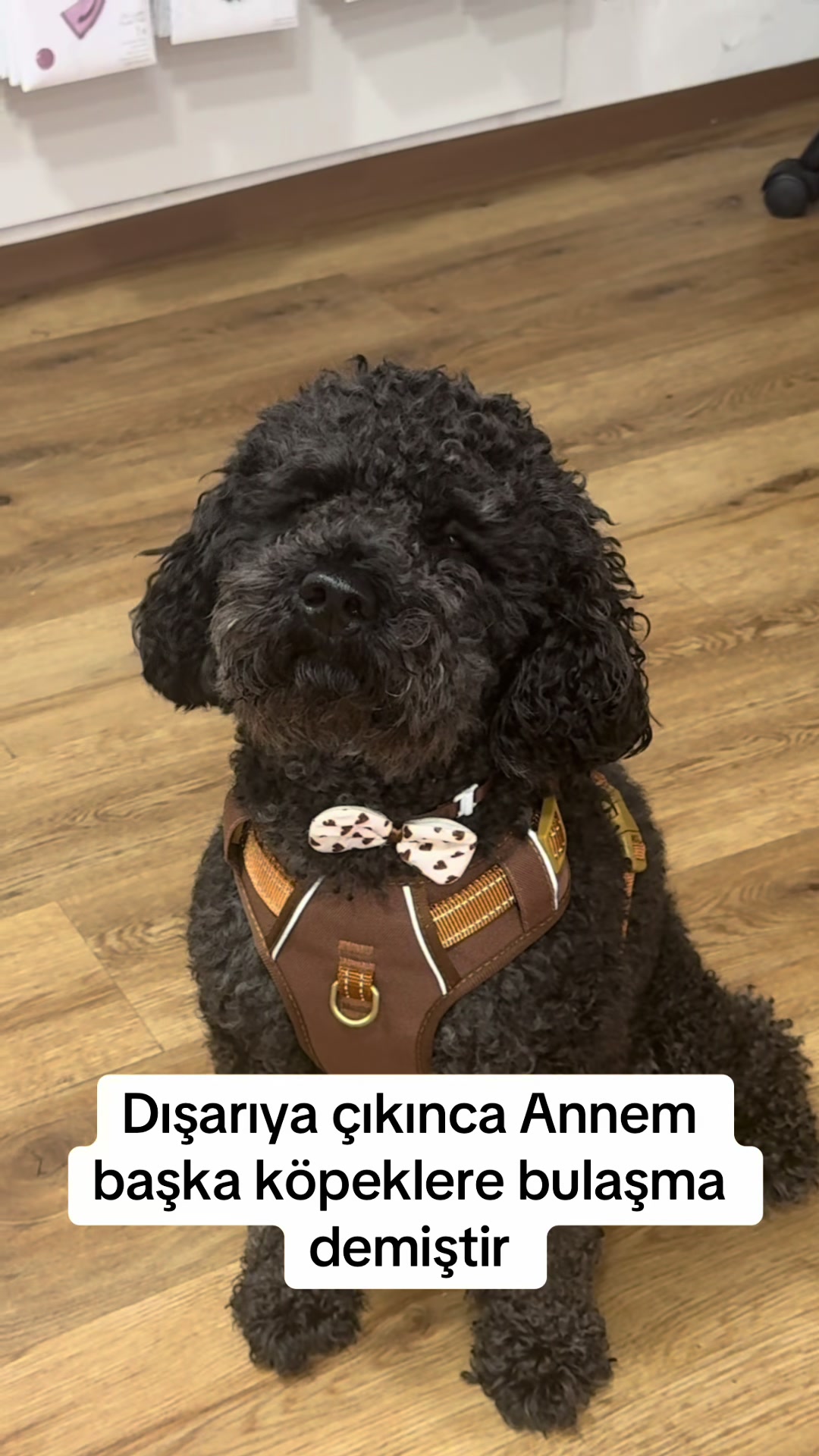 @Pascha