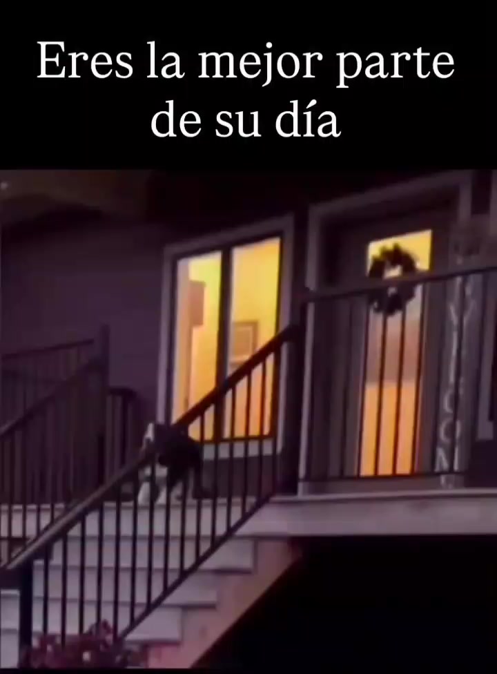 @Viviana Calabrese
