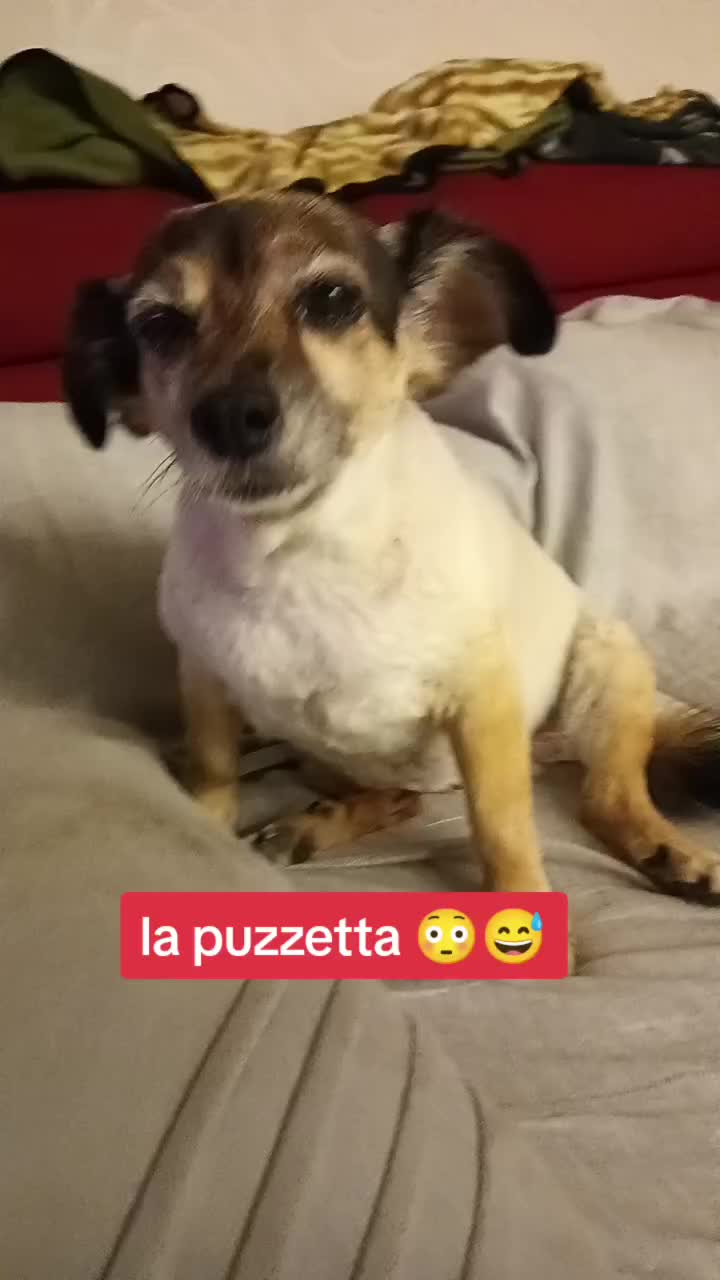 @briciola221dina24