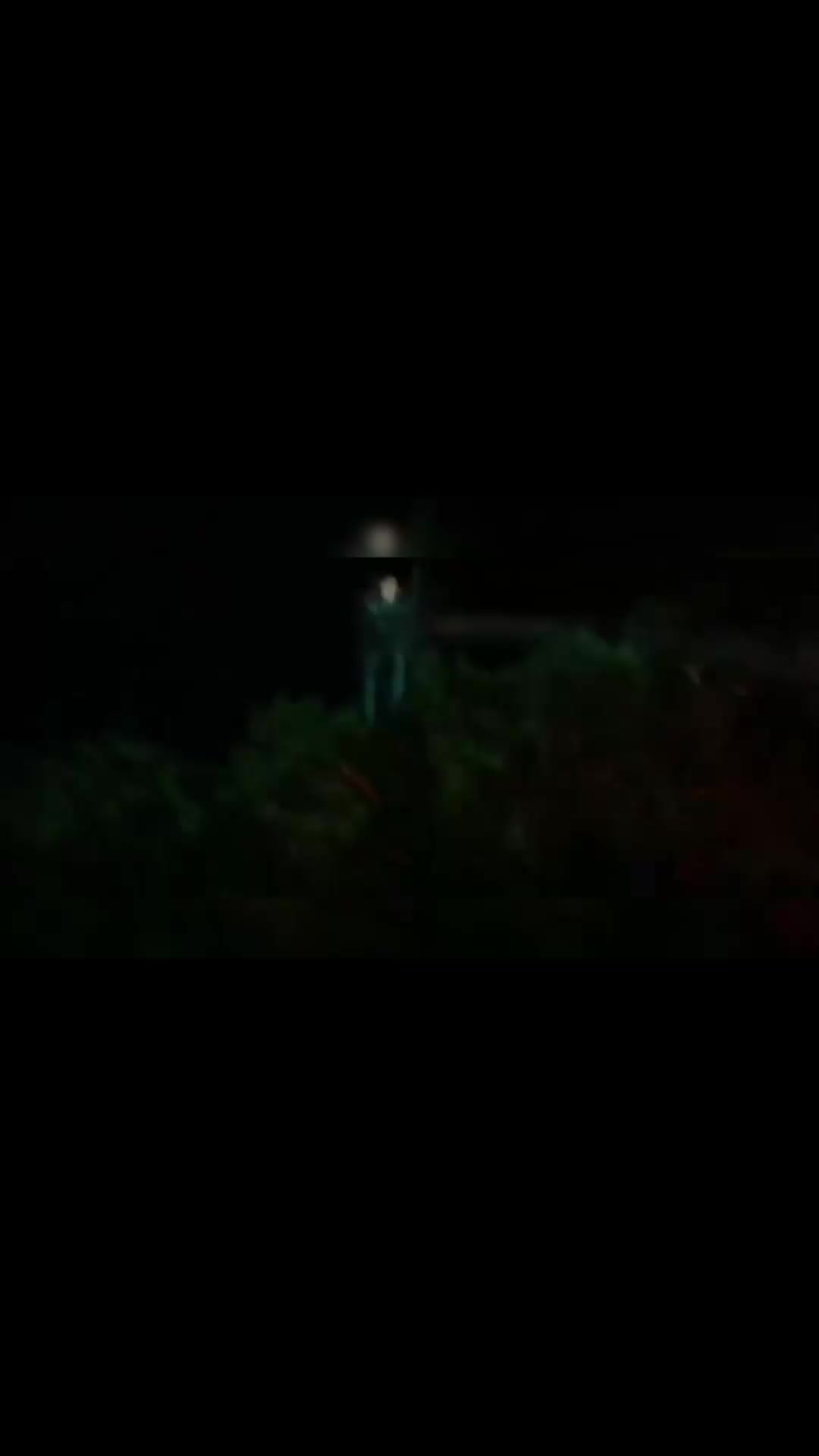 @cinéfilos