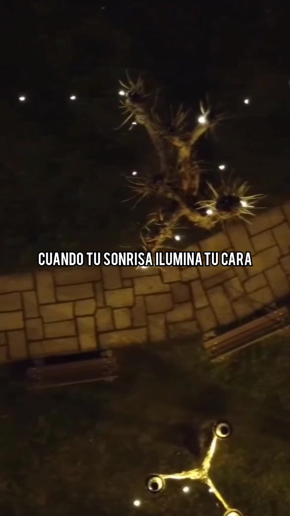 @𝑨𝑳𝑬𝑿𝑿𝑿 🍂