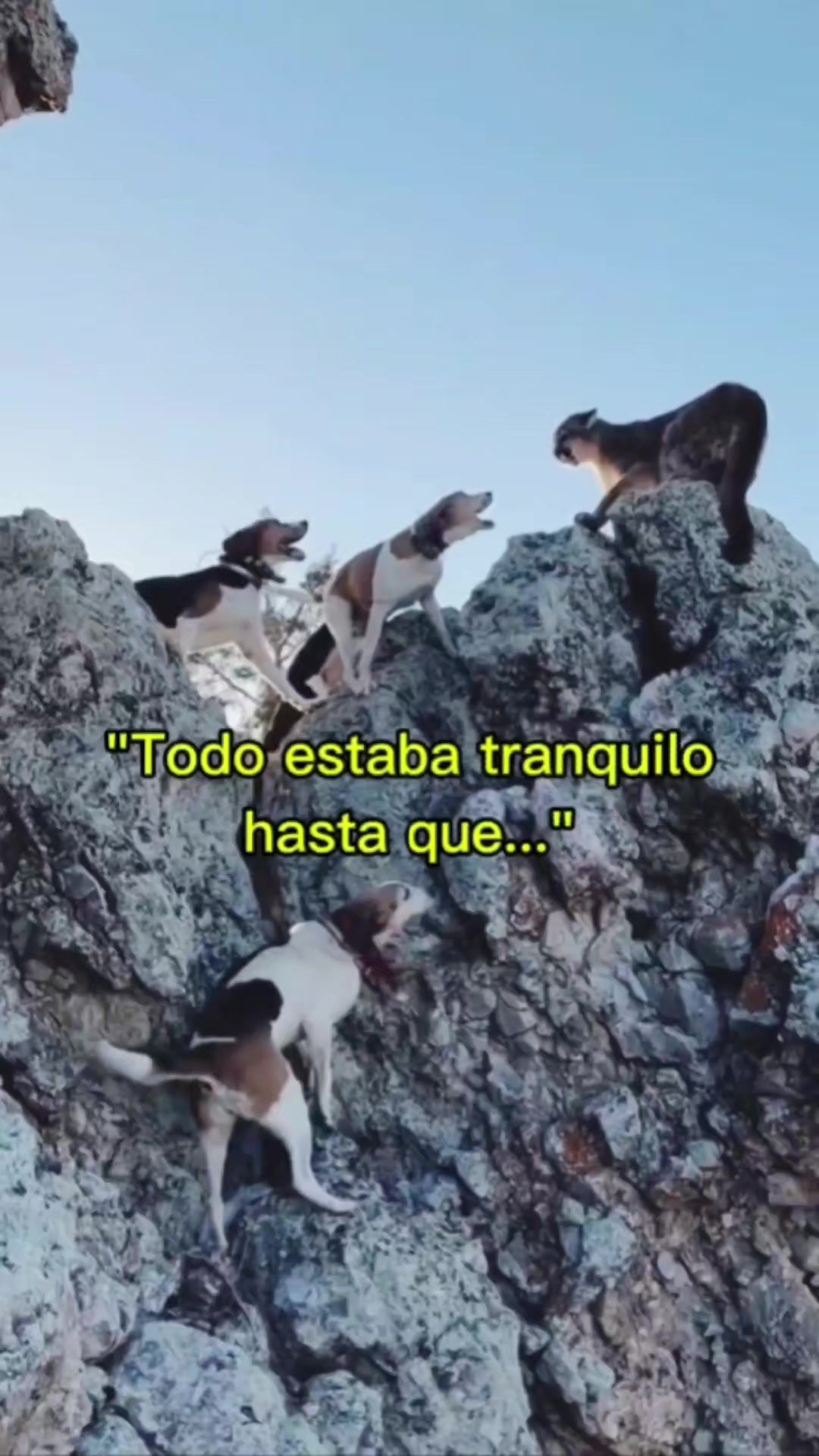 @Razas Caninas