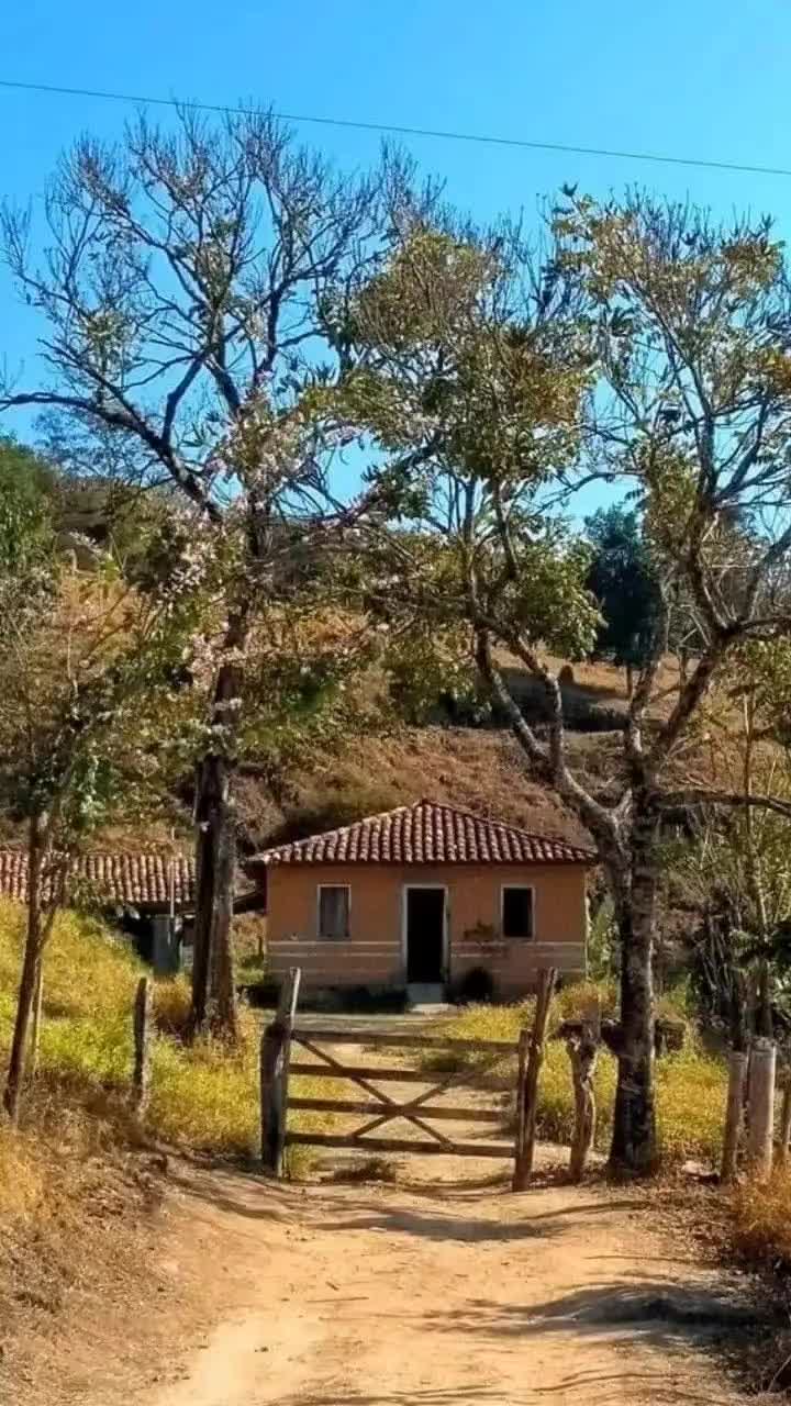 @Beatriz Dias