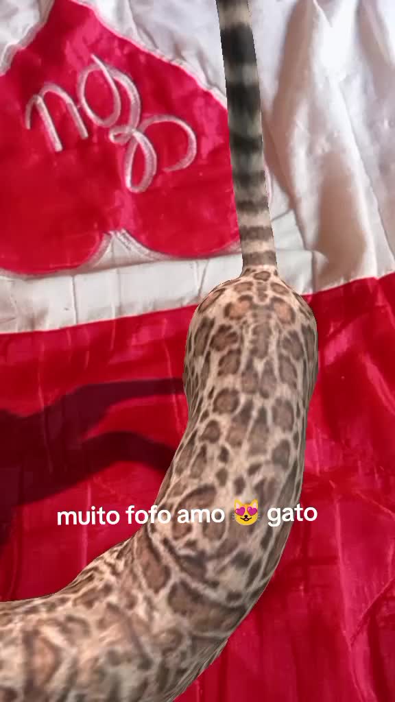 @@NILDE⭐ GOMES❤️🌞.