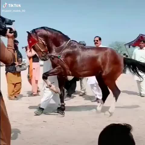 @Samir_Malek