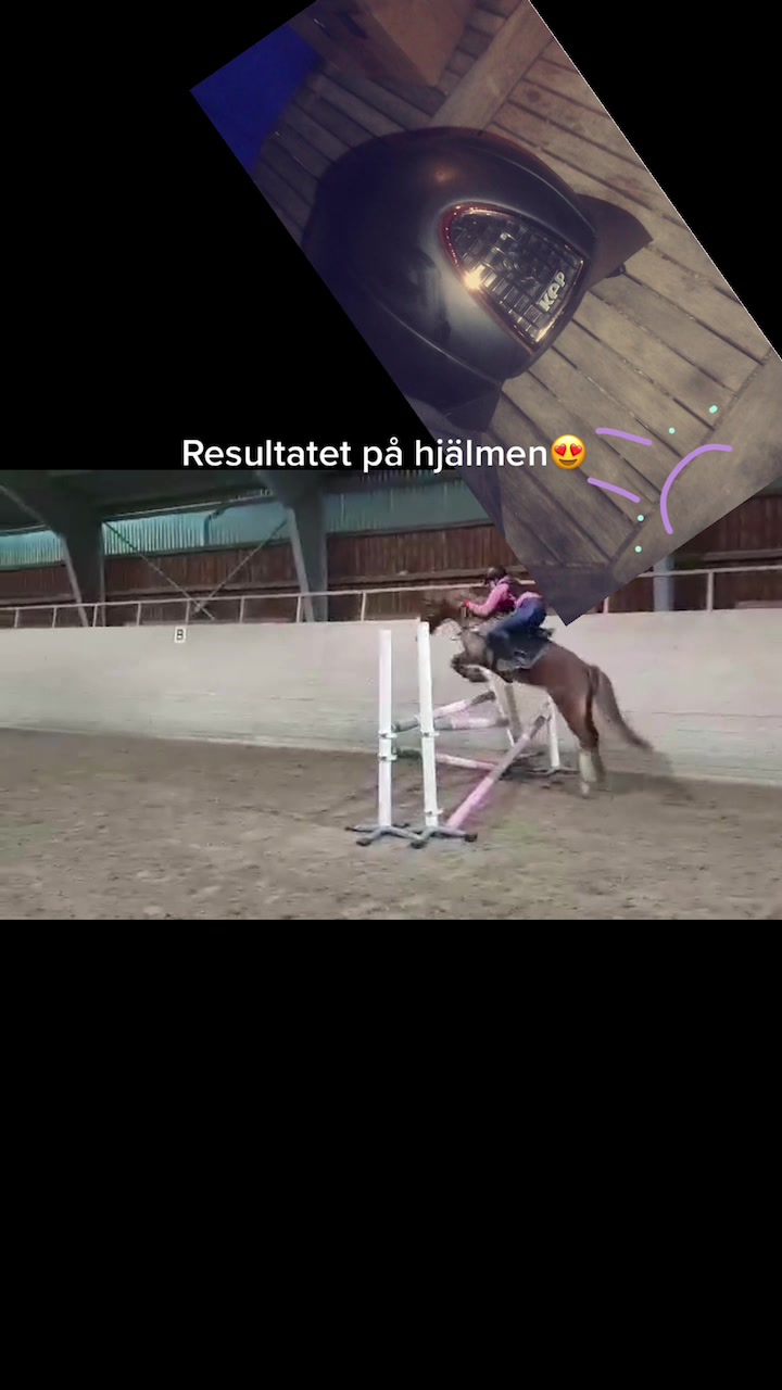 @Stellabella