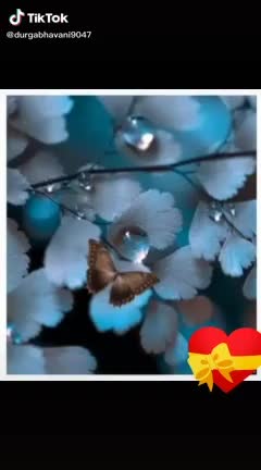 @rajeswarijakkula9
