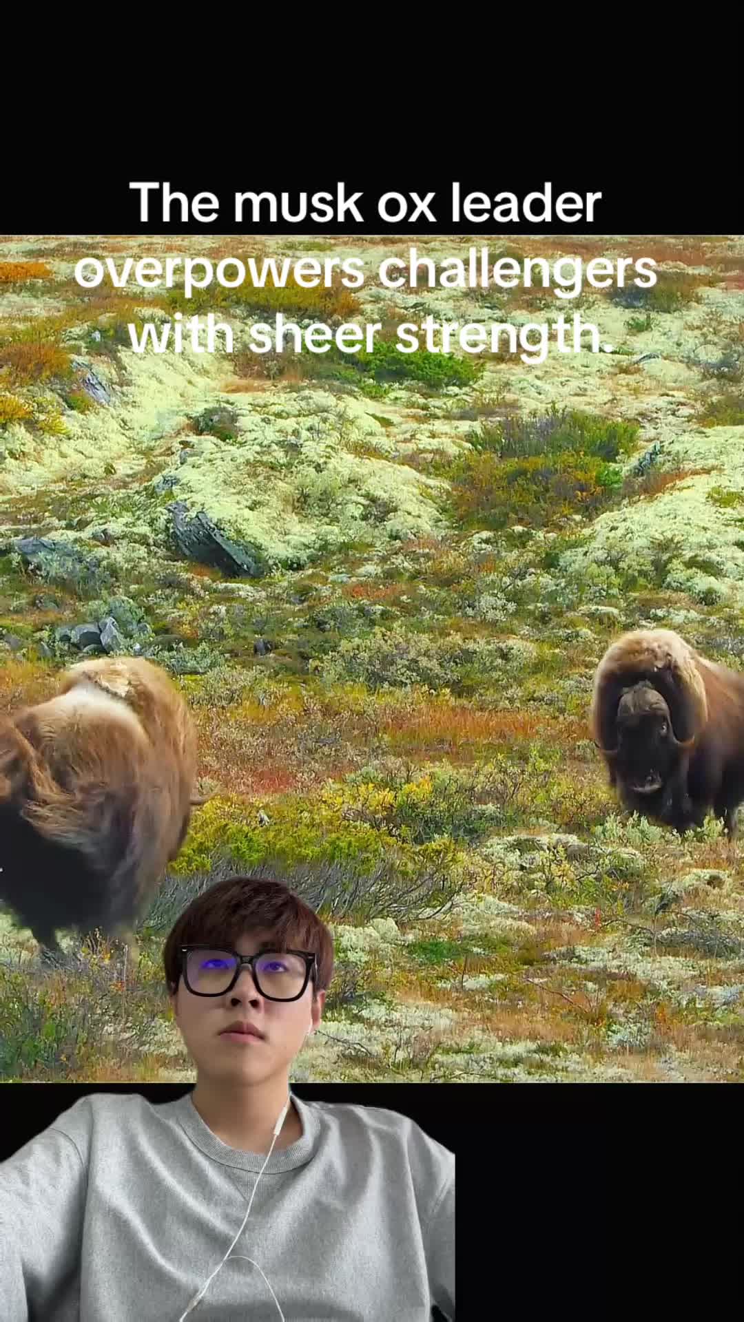 @aboutanimals