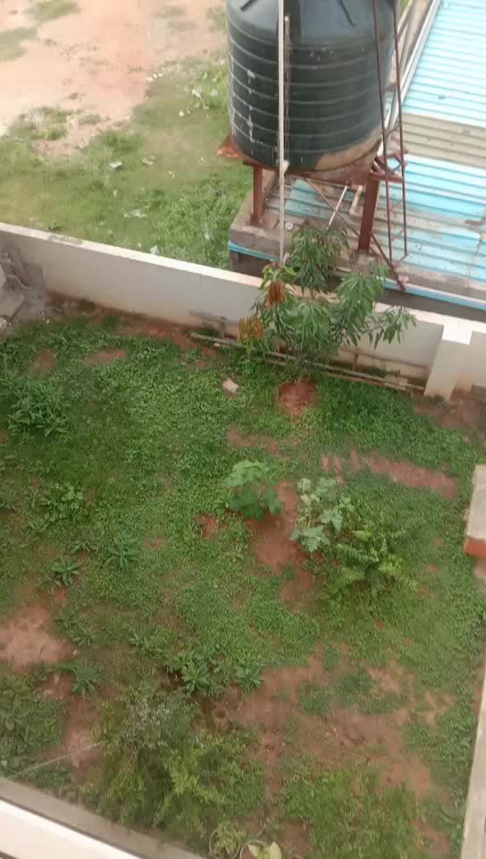 @sindhusunil