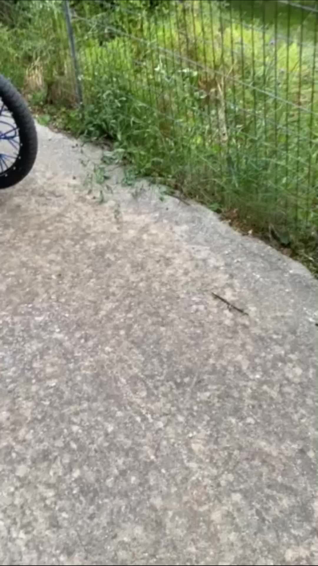 @🕸️