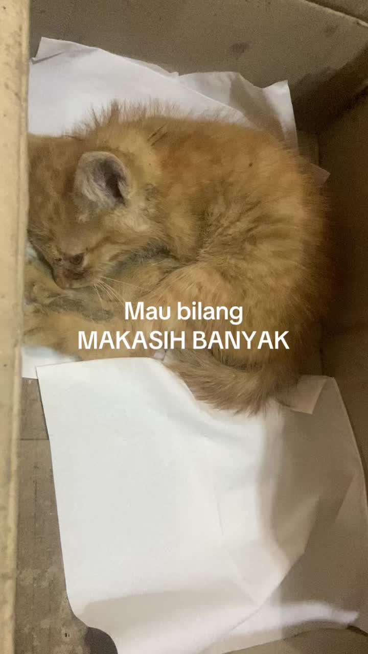 @Cikchubwa
