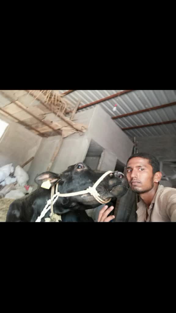 @🐂Sachin8453847757🐂