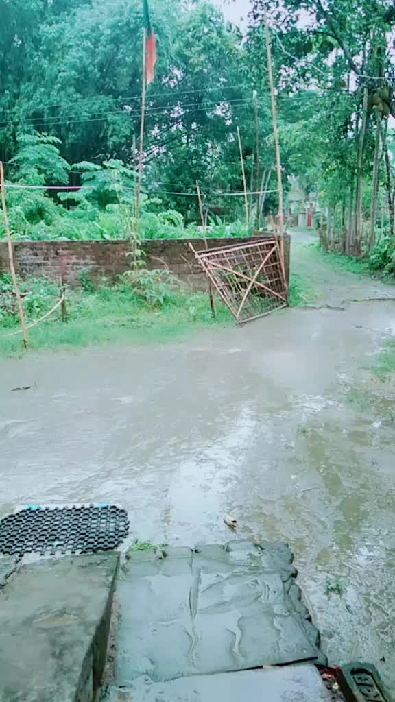 @Ujjal Bora
