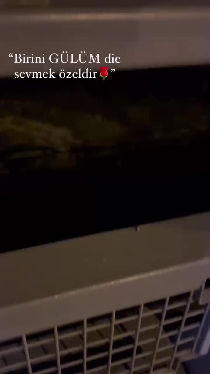 @mavi.official.48