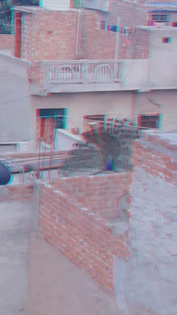 @๐๐๐
พ๐๐
ธ๐
ฒ๐