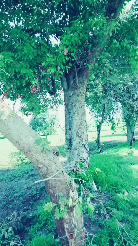 @Praveen solanki