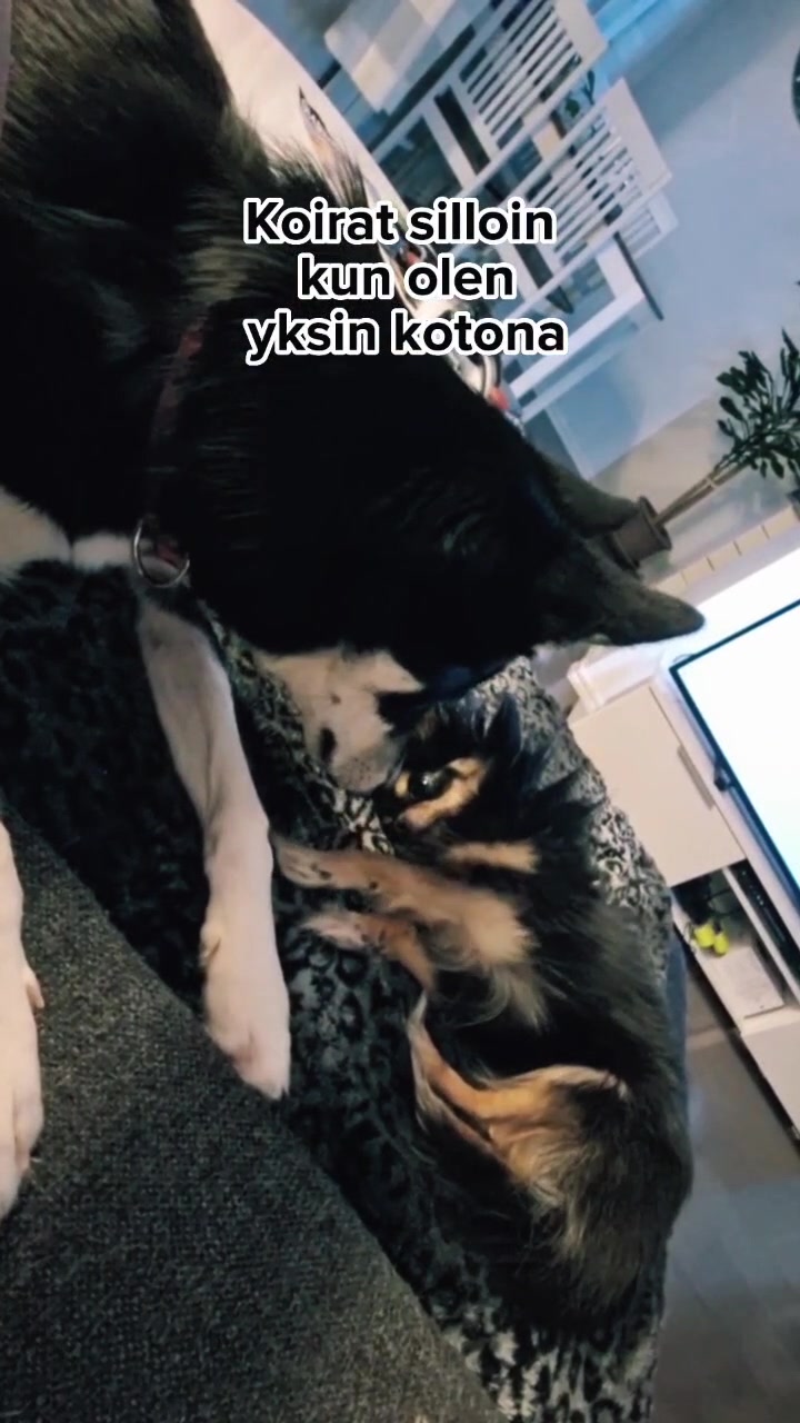 @꧁☬Asta☬꧂