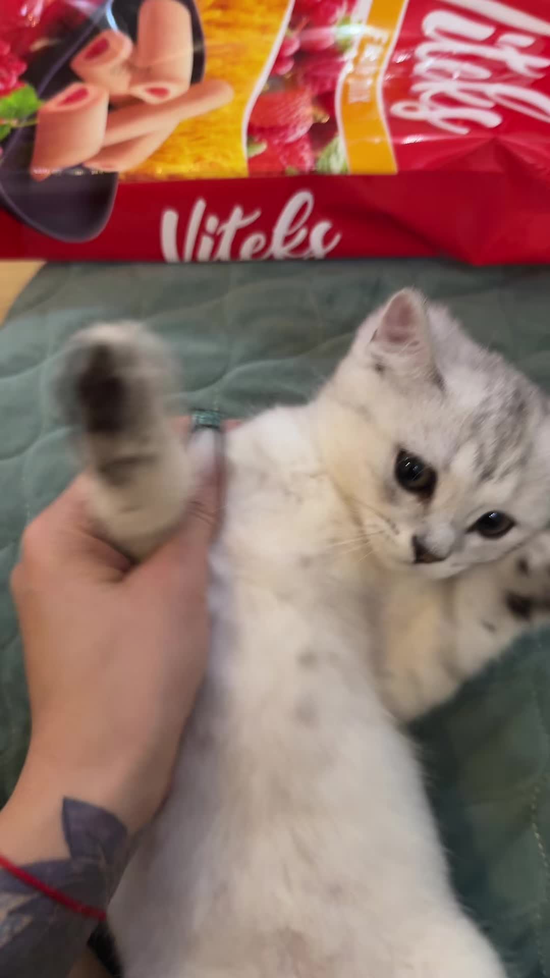 @Abbasova_25