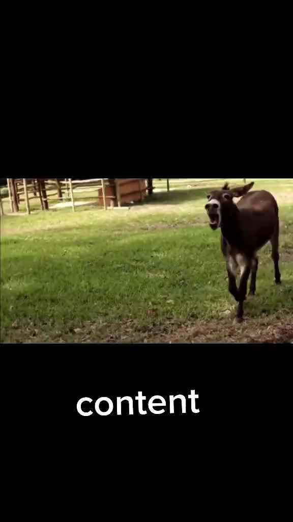 @SUJAL 🔥🔥🔥⚡⚡