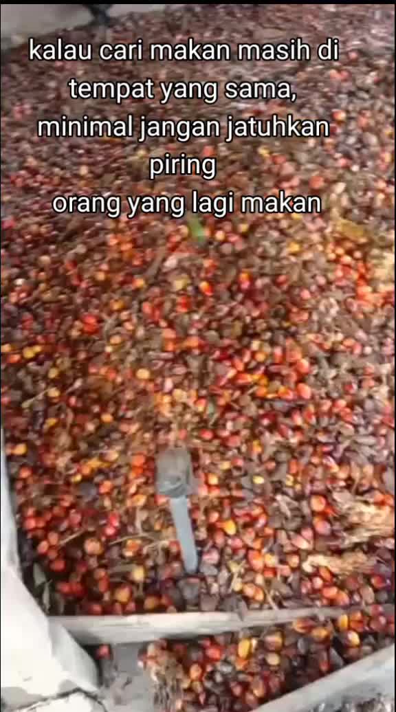 @Gembala_muda💎