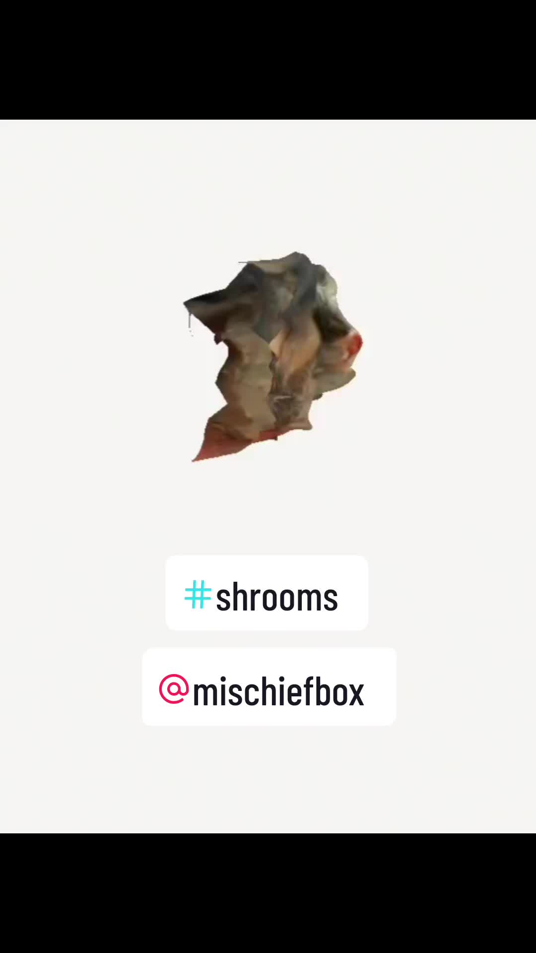 @Mischiefbox