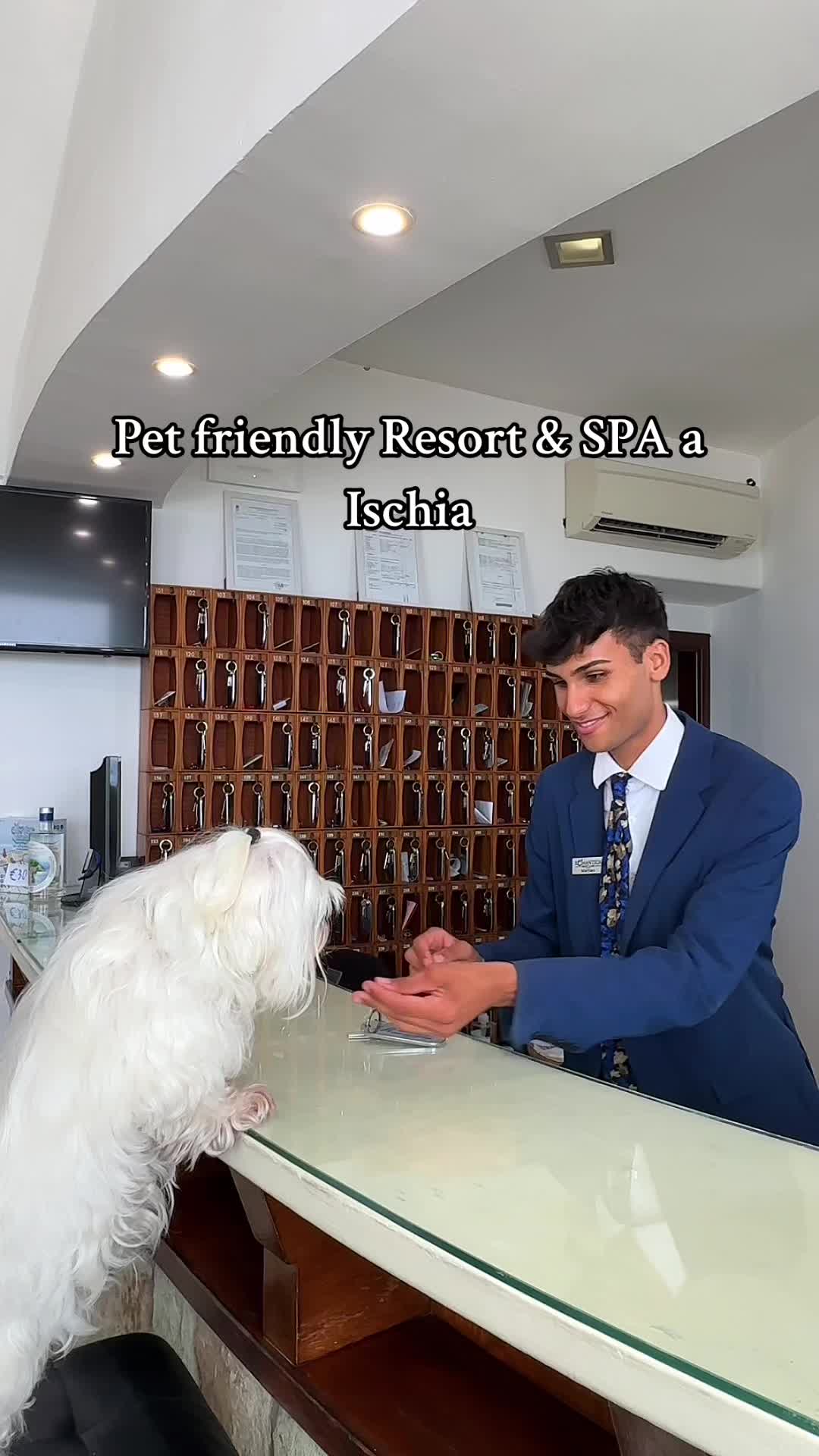 @coppiaecaneinfuga