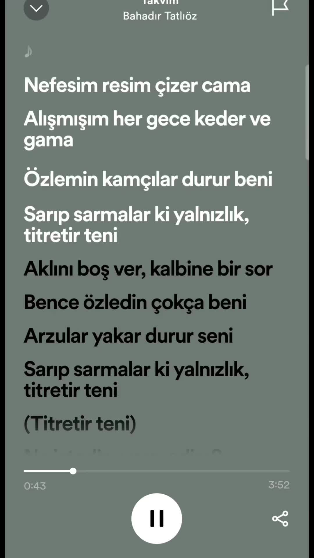 @spotifyy top