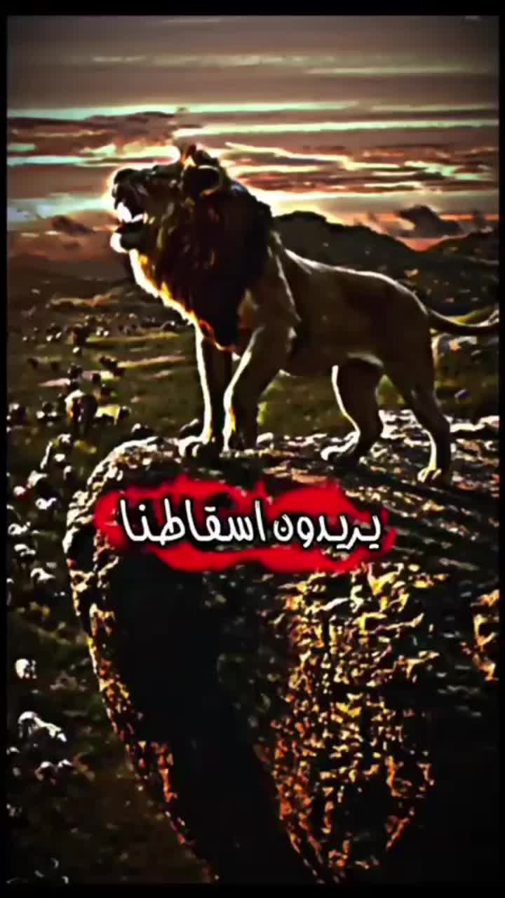 @yassineel8881