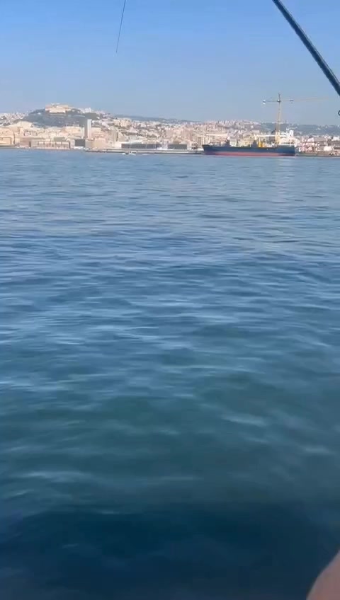 @Massimo