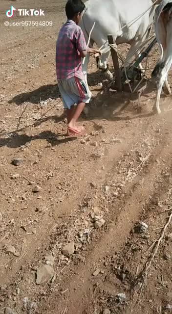@Akhil Akhil