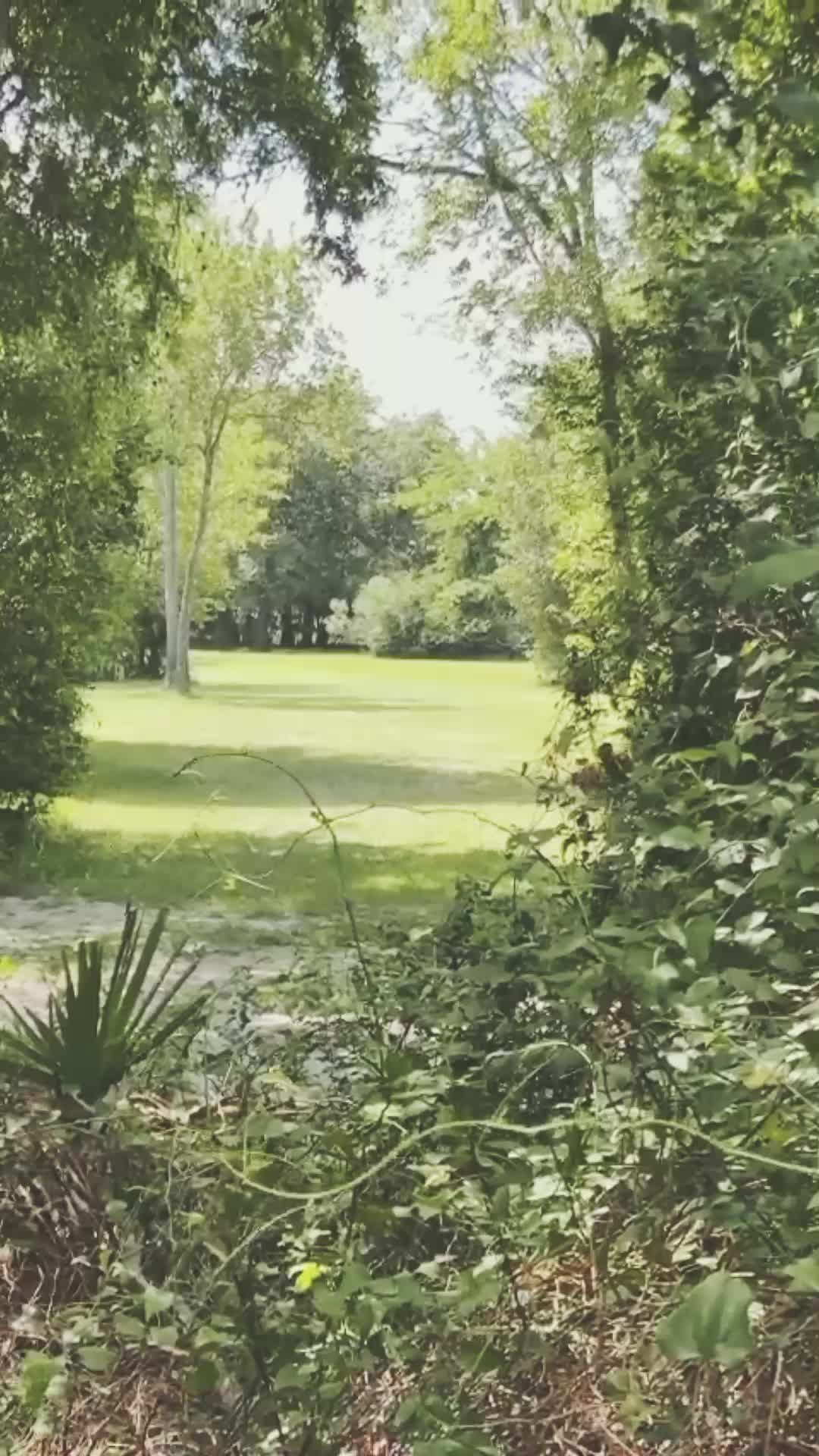 @MACIAS_DISCGOLF