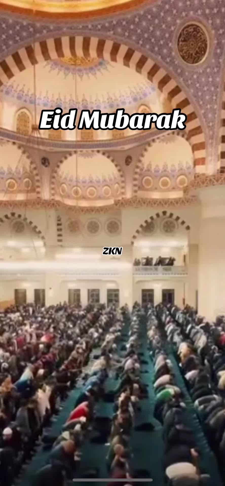 @✨ ZKN ✨