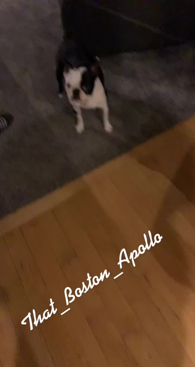 @That_Boston_Apollo