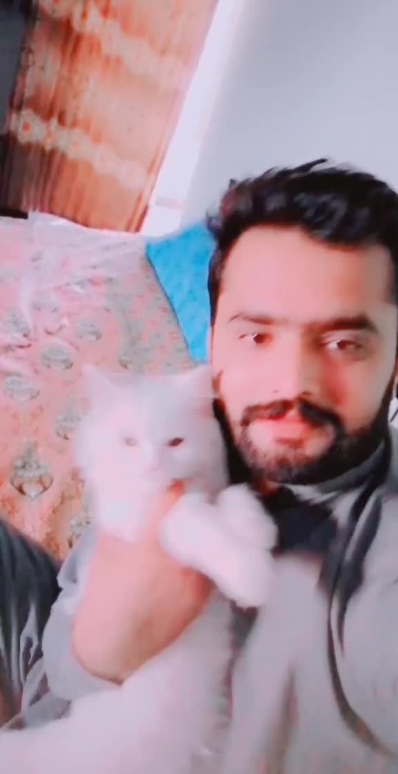 @Hassanvirk