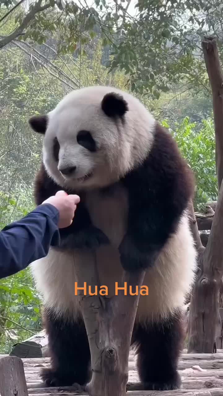 @Moon