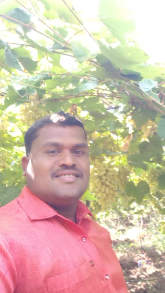 @Appa Mandlik