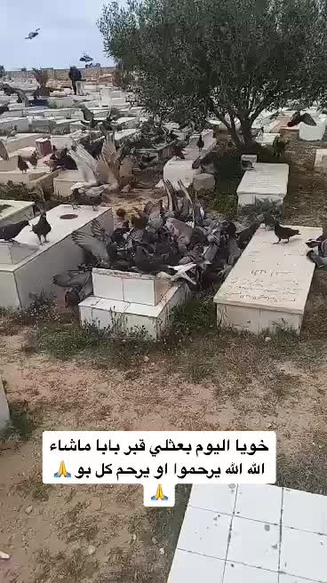 @بنت العاشق 🇹🇳